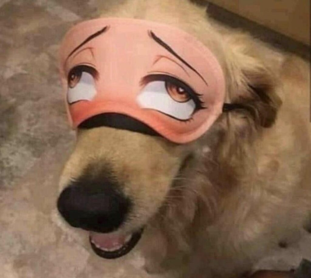 mascherina occhi cane