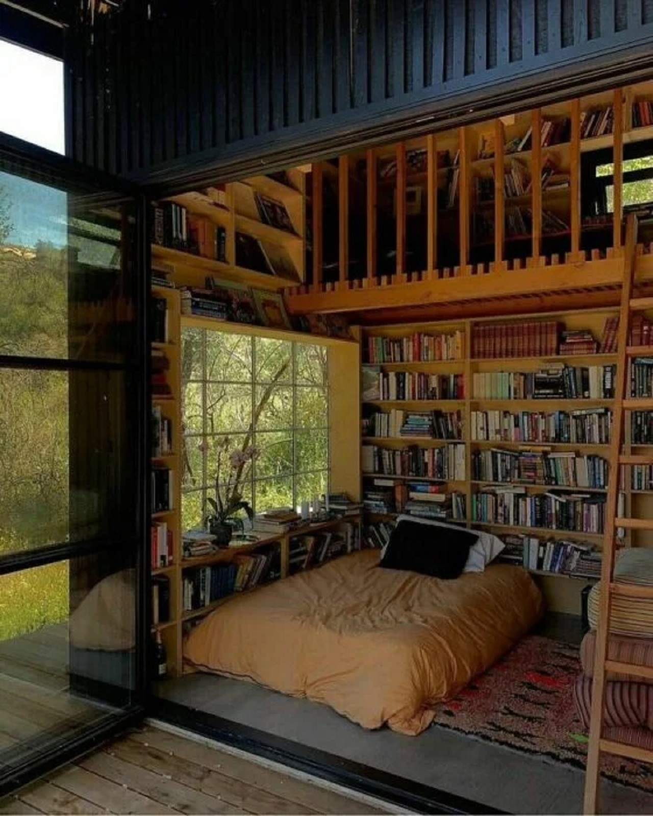 casa e libreria nella natura