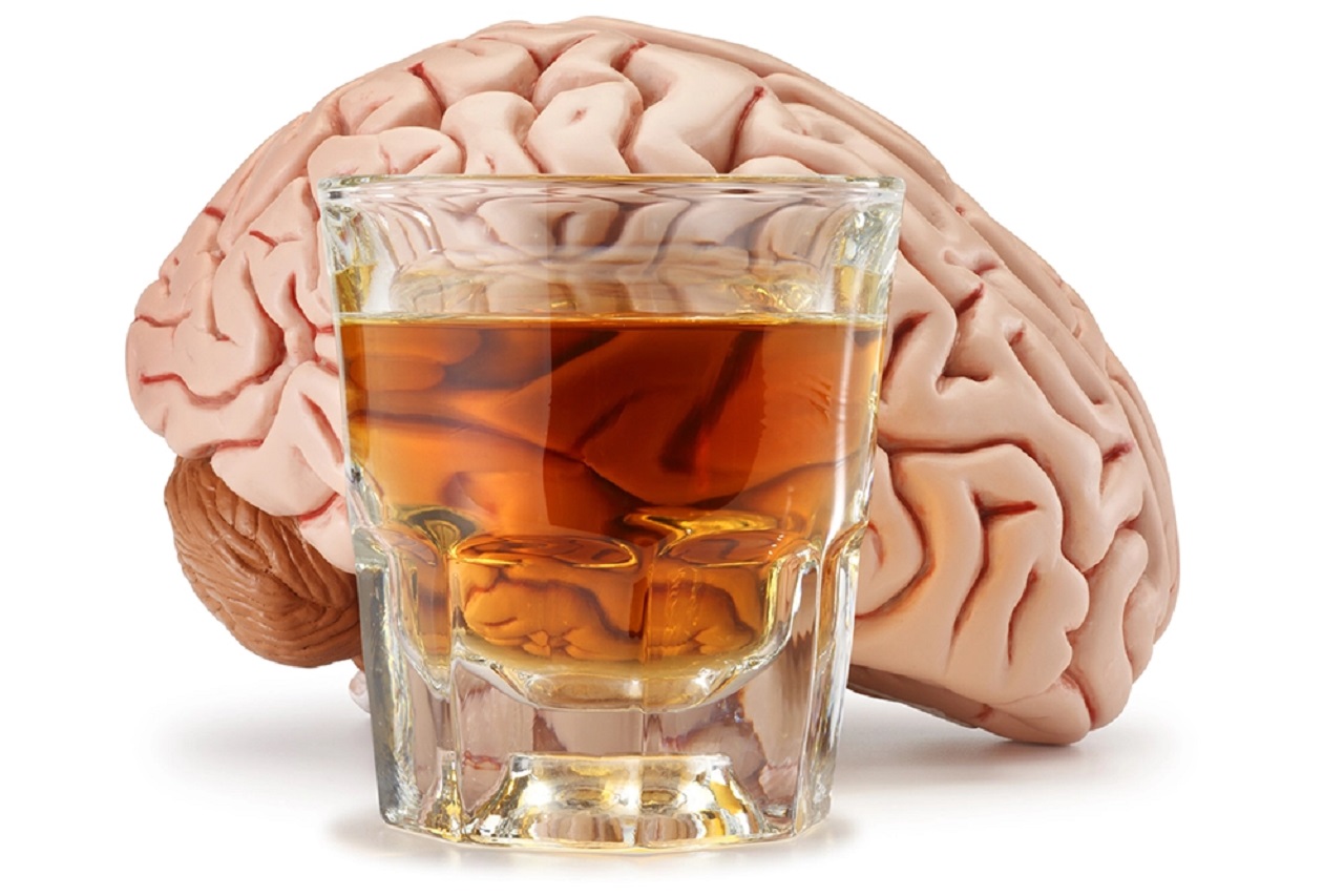 cervello invecchia con l'alcool
