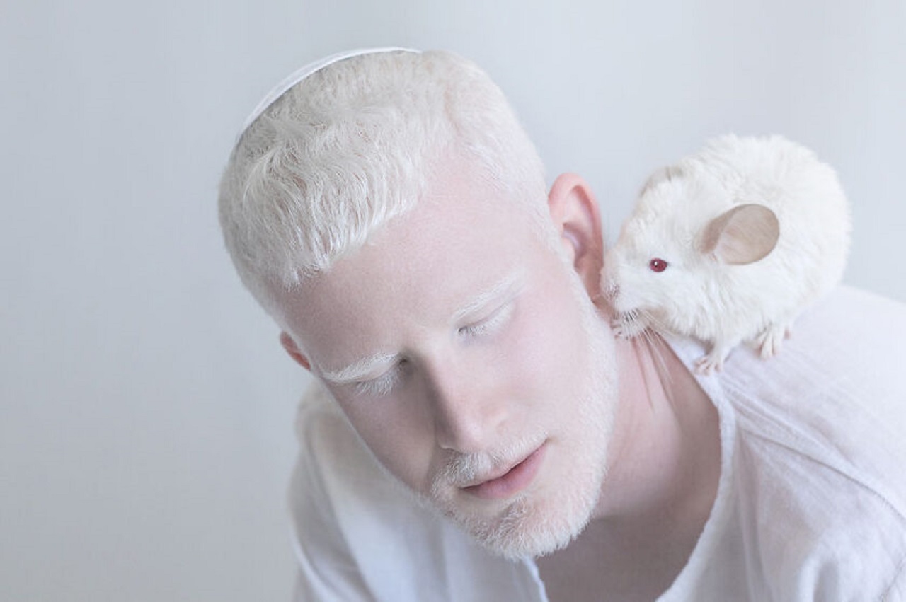 raccolta foto albini