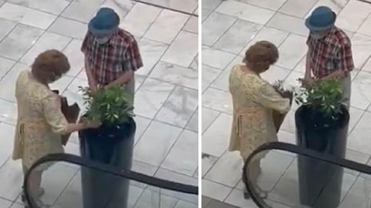 coppia ruba una pianta