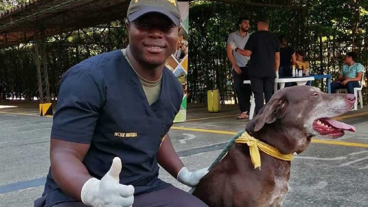 poliziotto salva cuccioli
