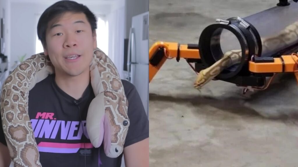 Serpente con gambe robotiche