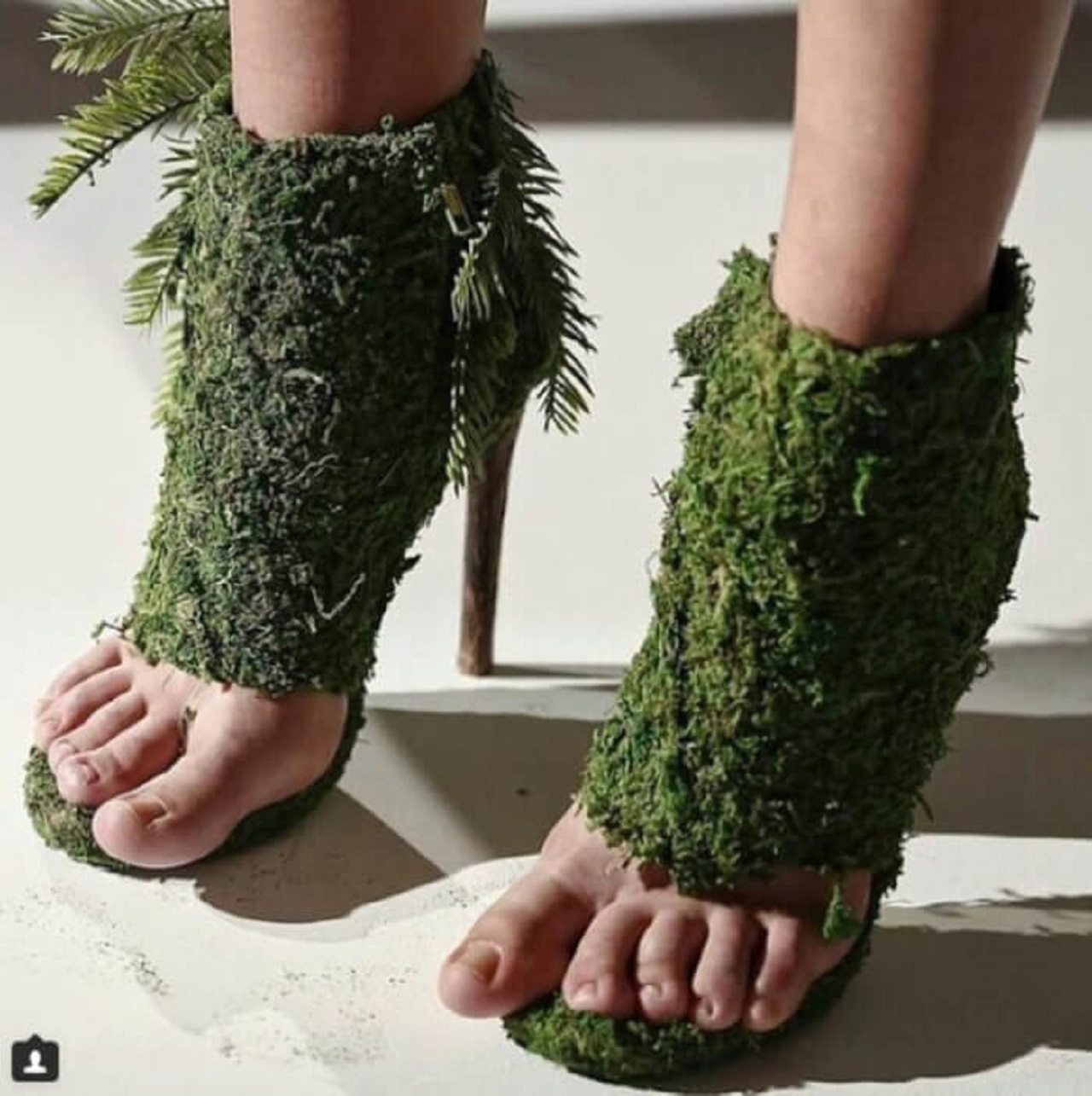 scarpe Poison Ivy