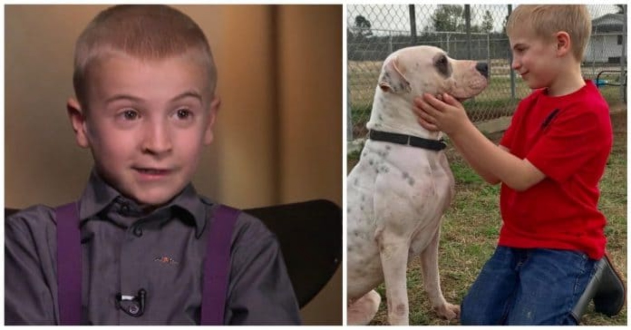 Roman McConn, il bambino che ha salvato 1300 cani