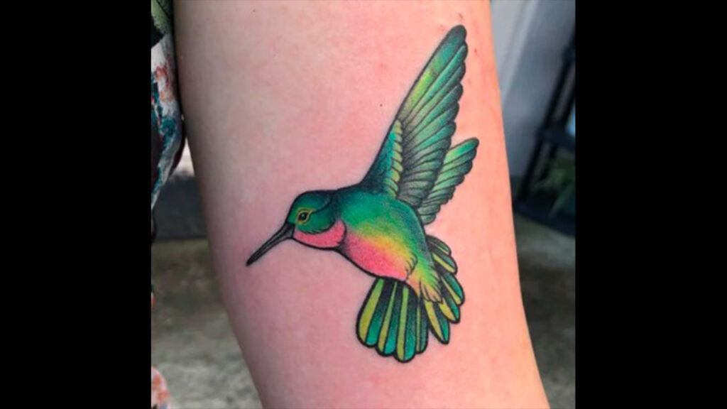 colibrì 