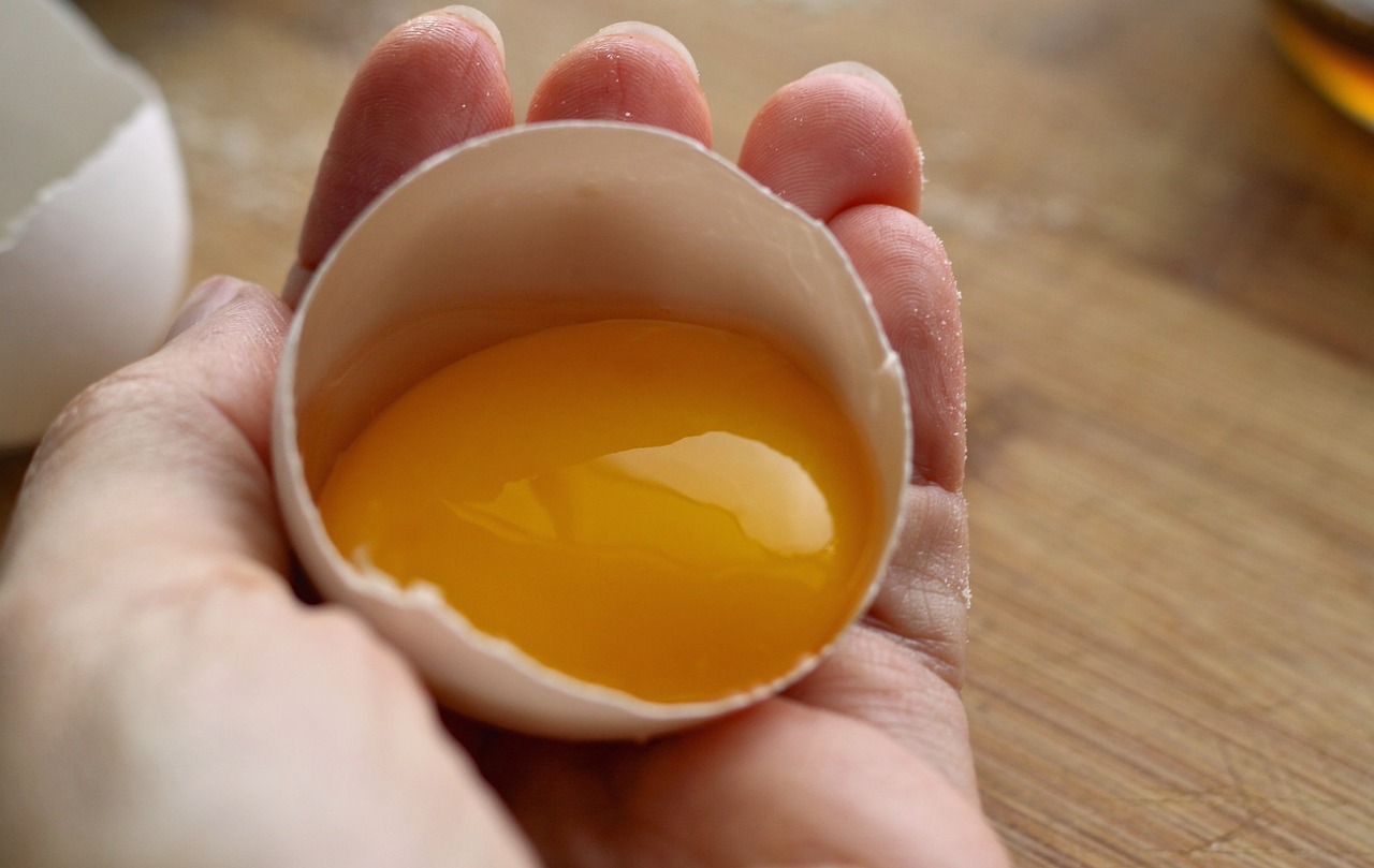 gusci delle uova portano batteri