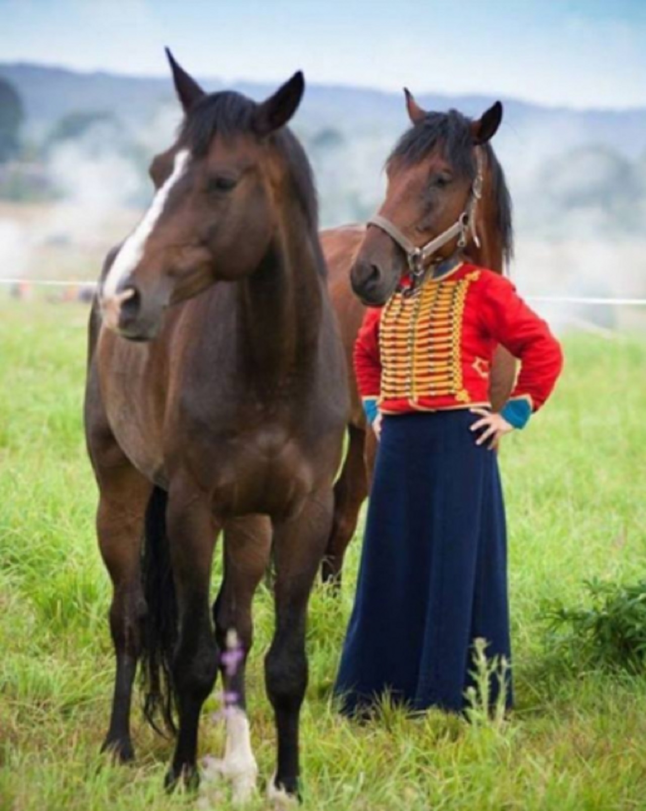 uomo con testa di cavallo