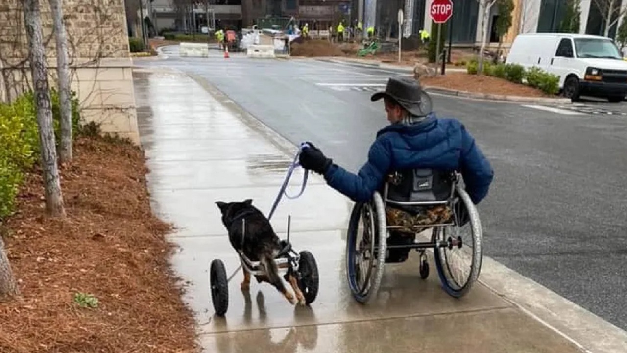 cane e padrone sulla sedia a rotelle