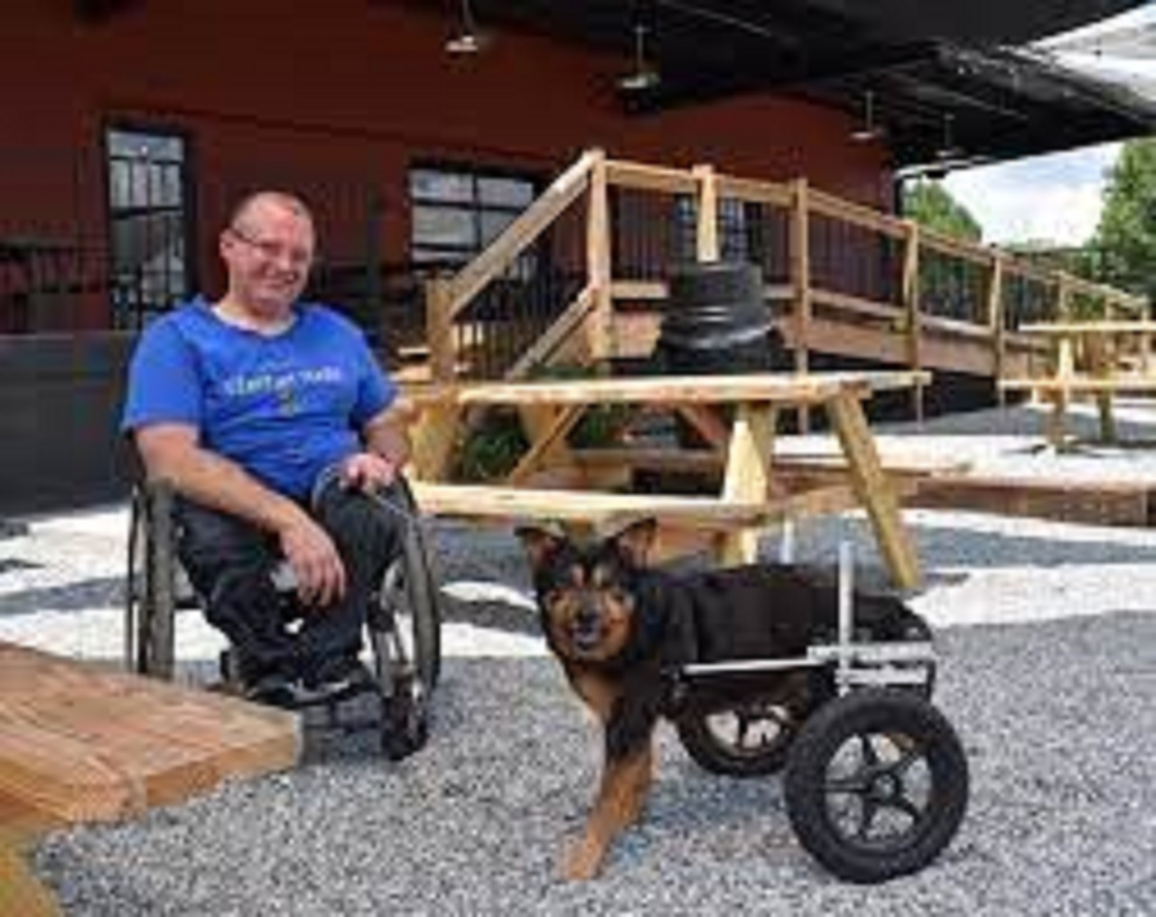 cane e padrone disabili