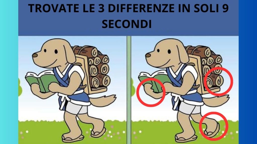 3 differenze soluzione