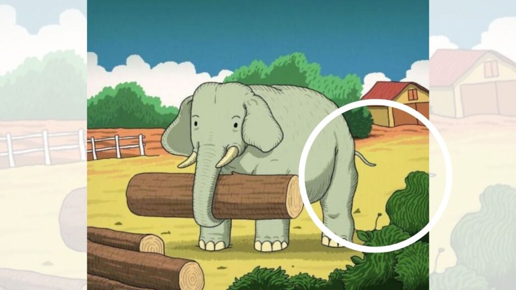 animale nascosto elefante soluzione