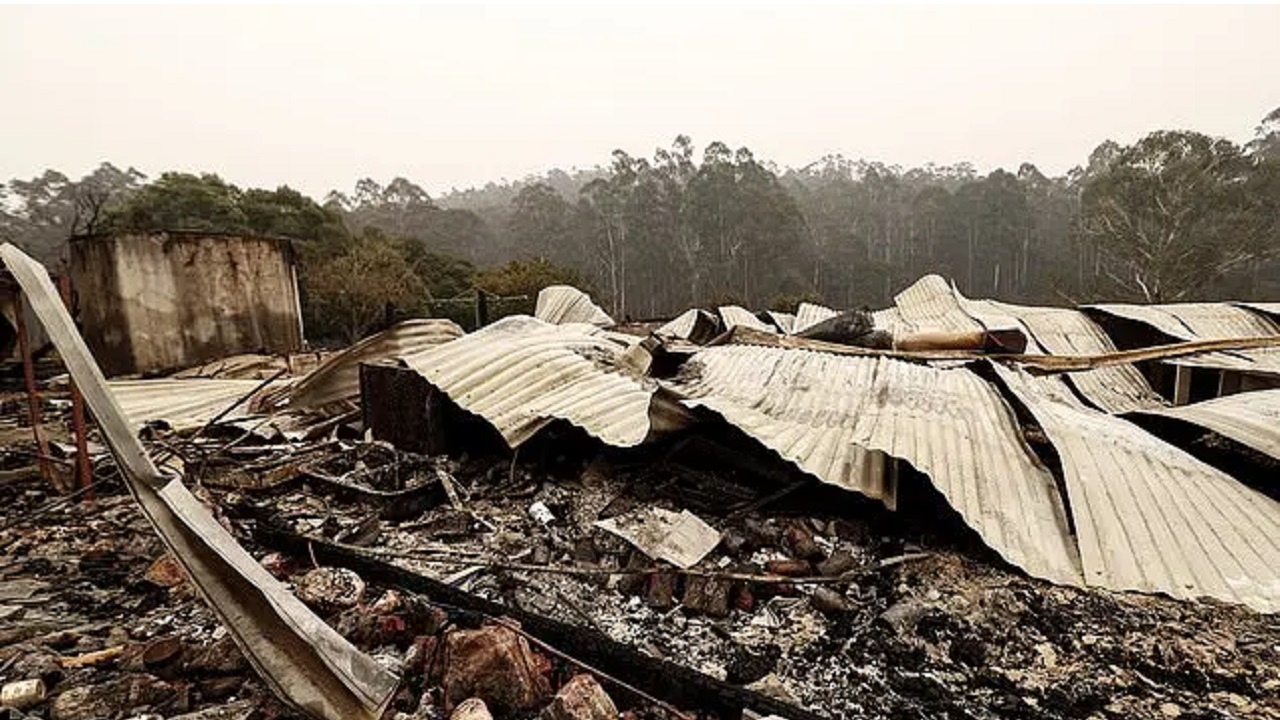 casa distrutta dagli incendi boschivi australiani