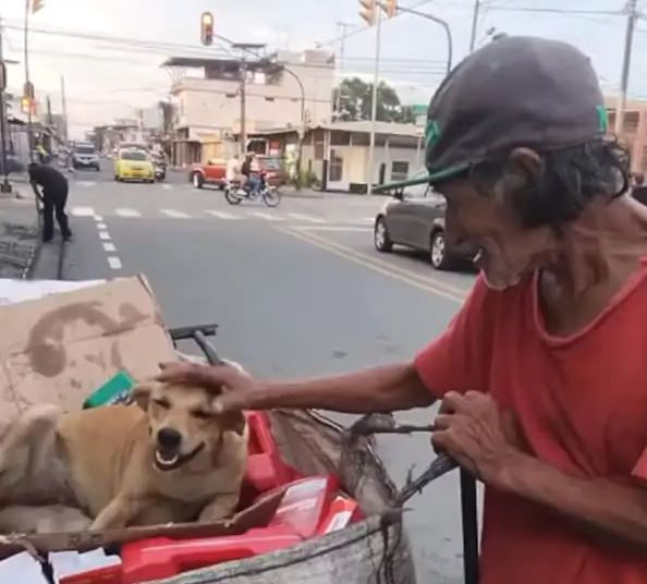 indigente e cagnolina