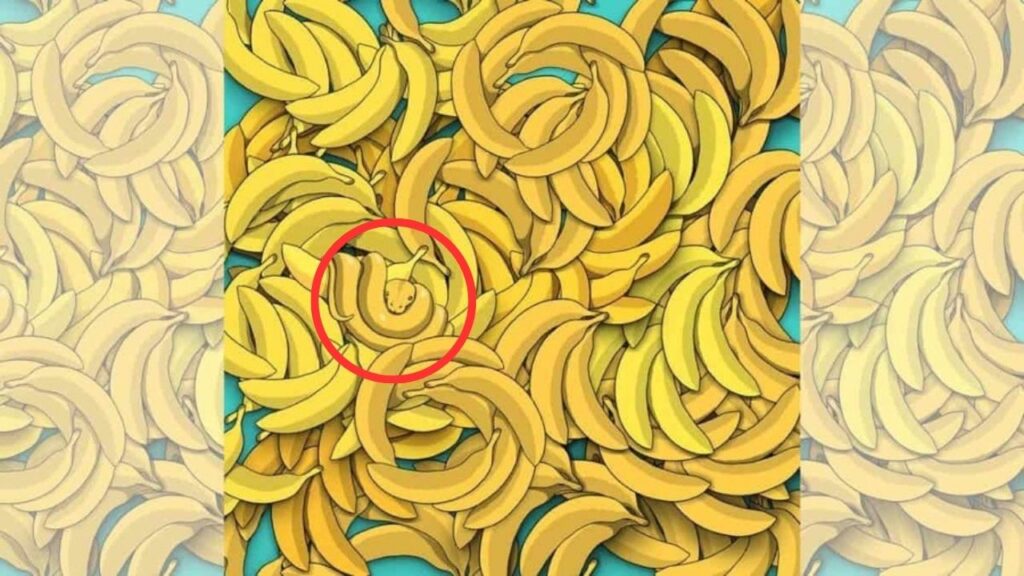 serpente nascosto banane soluzione