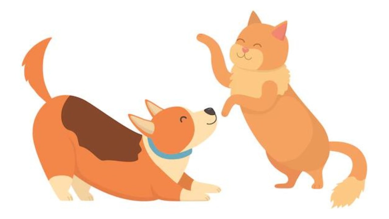 cane e gatto stringono amicizia
