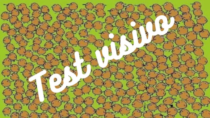 Test visivo: trovate i 4 kiwi nascosti