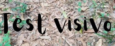 Test visivo: trovate il serpente nascosto tra le foglie