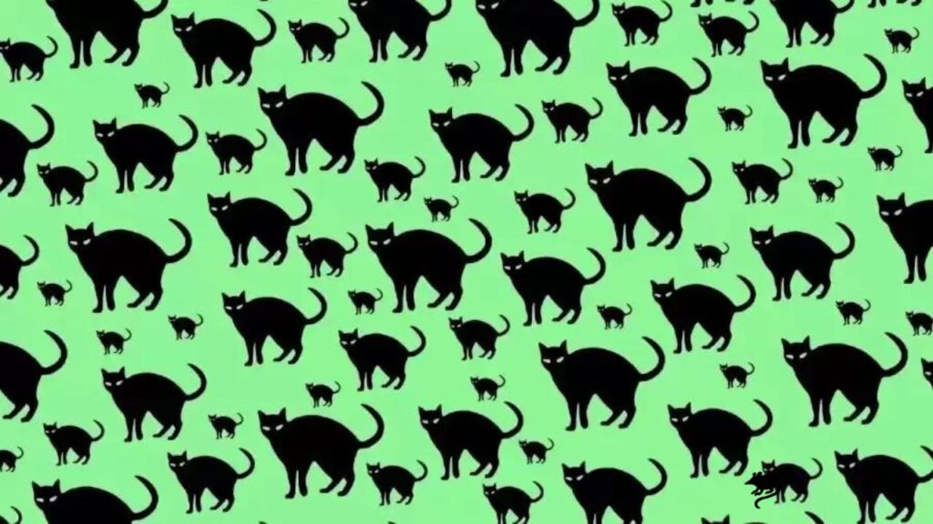 Illusione ottica: trovate il topolino nascosto in mezzo ai gatti
